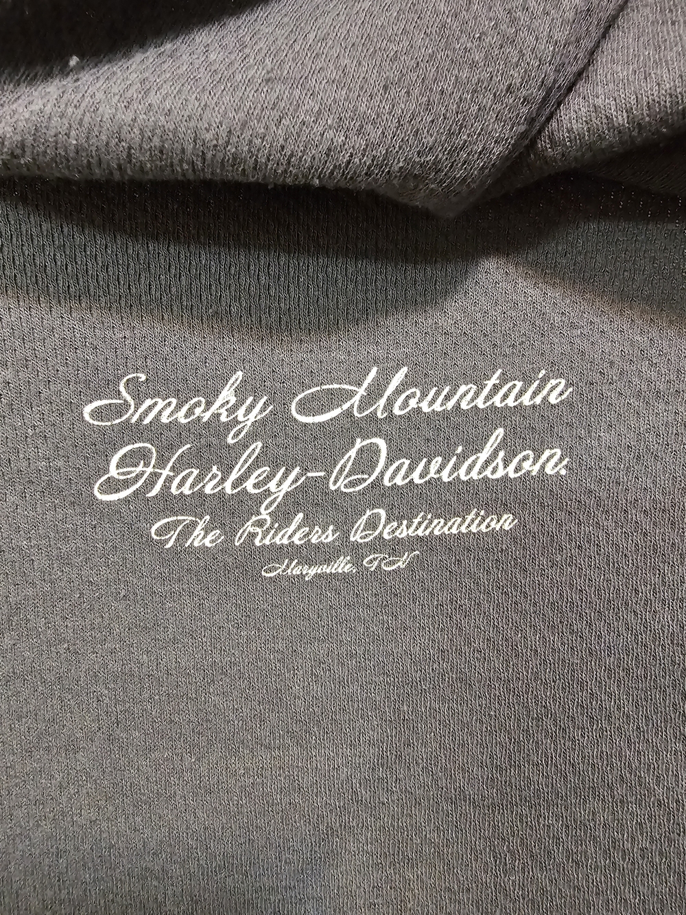 Harley-Davidson Women's Long Sleeve V-Neck Shirt - Charcoal with Red Graphic - Picture 3 of 4